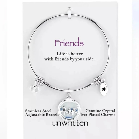 Friends Bird Charm Bangle Bracelet in Stainless Steel - Picture 2 of 2